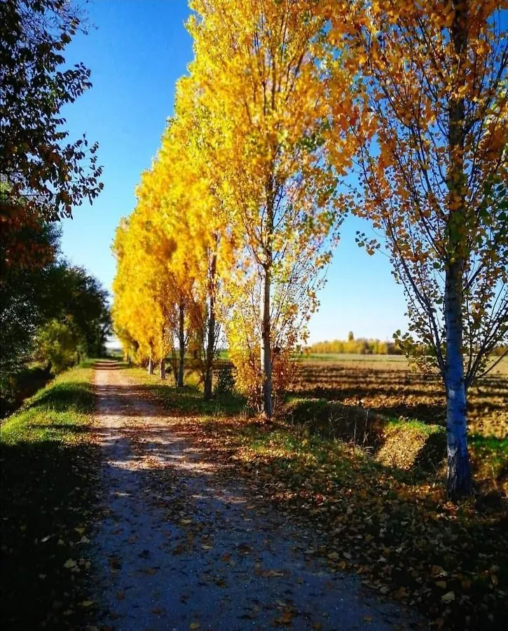 Agriturismo Colombera Quarto dʼAltino Italien