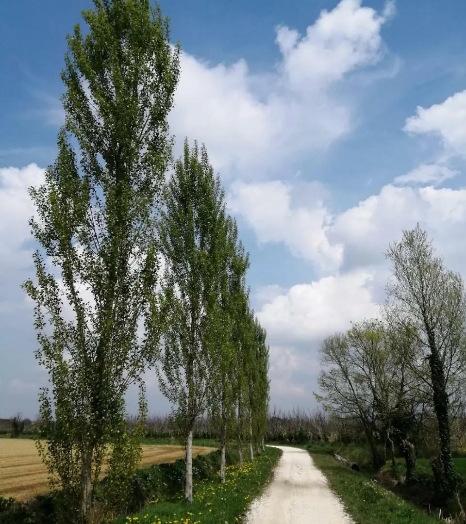 Casa di campagna Agriturismo Colombera Quarto dʼAltino